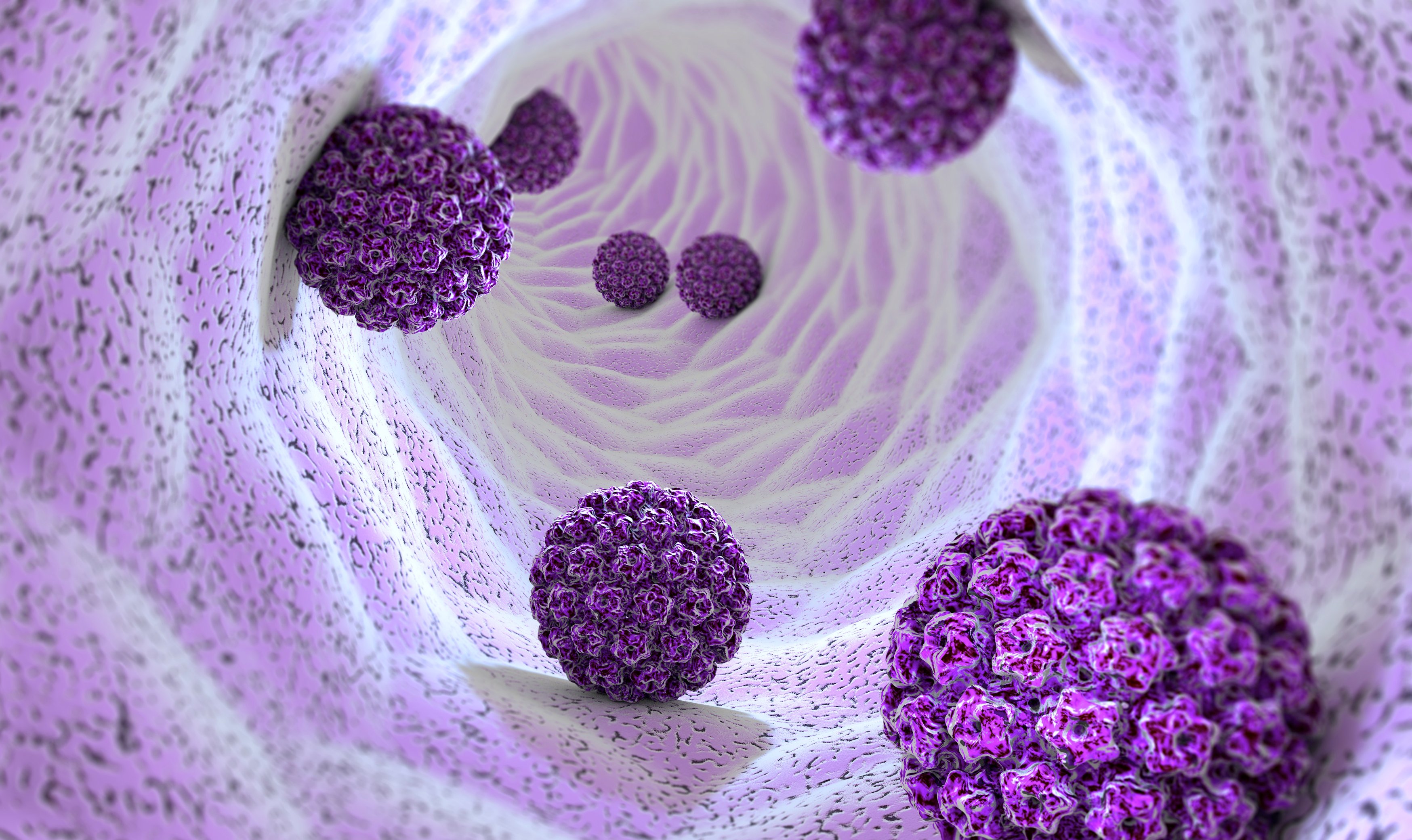 Human Papillomaviren (HPV) © Naeblys/Shutterstock.com