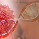 TRIO, Symbolbild DNA-Strang- und Krebszell-Onkologieforschung ©shutterstock.com/CI Photos