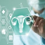 Telemedizin und menschliches Uterus ©shutterstock.com/mi_viri
