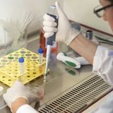 Forscher beim Pipettieren ©MedUni Wien