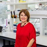 Maria Sibilia ©MedUni Wien