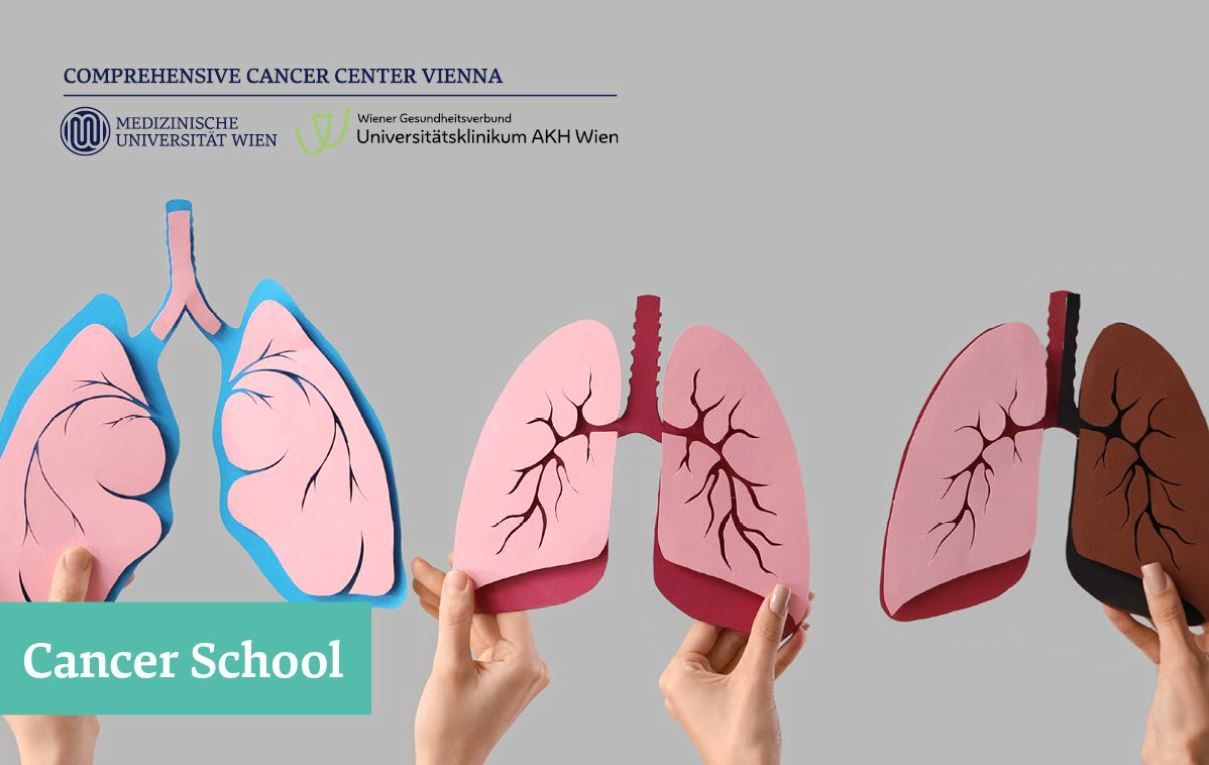 Symbolbild Lunge ©Pixel-Shot/Shutterstock.com