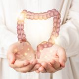 Darstellung eines Darms in den Händen eines Arztes ©Shutterstock.com/Orawan Pattarawimonchai