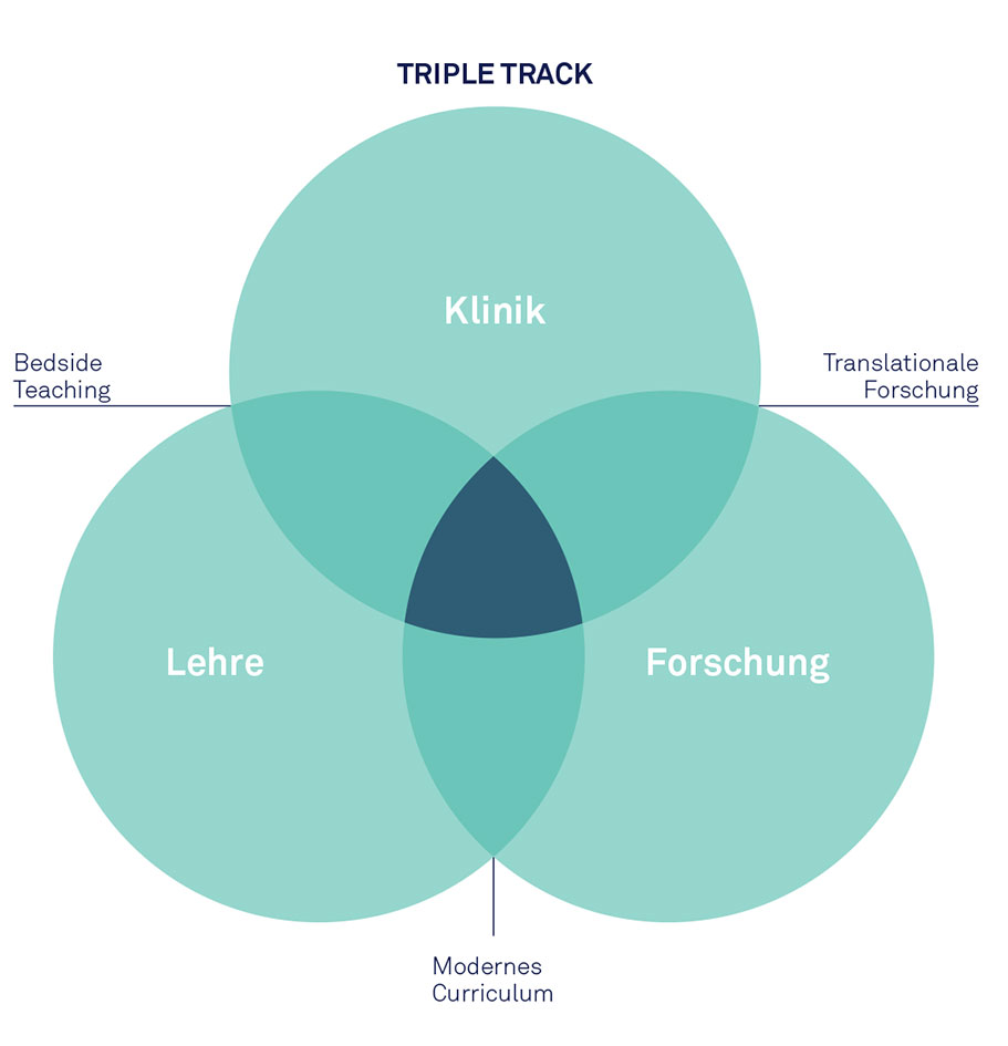 Venn Diagramm: Triple Track aus Lehre Forschung und Klinik ©MedUni Wien